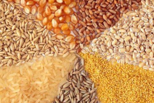 واردكنندگان بخش خصوصی امكان تامین نهاده های دامی را از دست داده اند