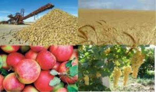 تصویب تسهیلات 15 هزار میلیاردی برای خرید تضمینی، حمایتی و توافقی محصولات کشاورزی