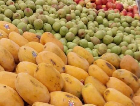 کاهش قیمت ۸ قلم میوه و صیفی در میادین میوه و تره بار تهران