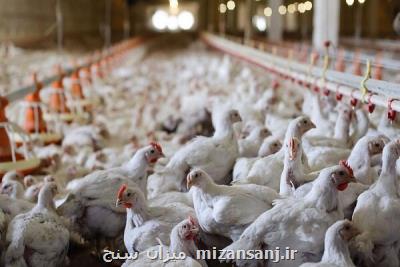 افزایش قیمت مولفه های تولید، بازار مرغ را بی ثبات می كند