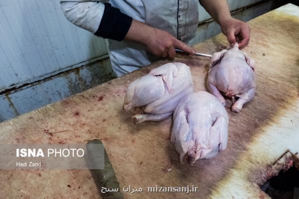 تدوام نابسامانی در بازار مرغ