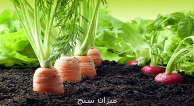 استفاده از عصاره های گیاهی برای پیشگیری از پوسیدگی محصولات کشاورزی