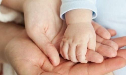 زمین یا مسکن فرزندآوری فقط به خانواده های تک همسری داده می شود