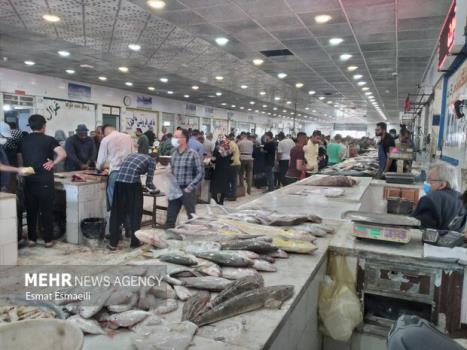 قیمت انواع ماهی امروز دوشنبه ششم تیرماه ۱۴۰۱