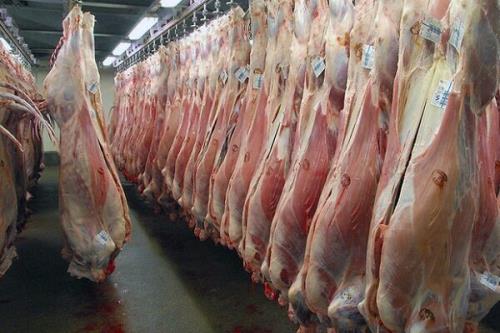 قیمت گوشت قرمز امروز 20 شهریور