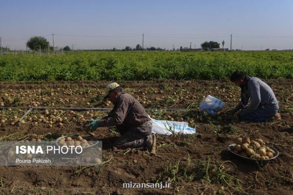 با مدیران پشت میزنشین نمی توان الگوی کشت را اجرائی کرد