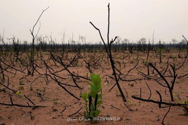 از دست دادن تنوع زیستی و صدمه به اقتصاد