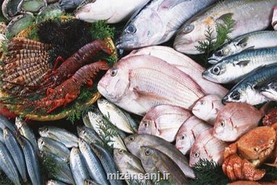 قیمت انواع ماهی و میگو 19 مردادماه 1401