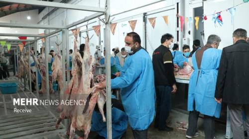 روزانه ۲ تن گوشت گرم گوساله در استان سمنان توزیع می شود