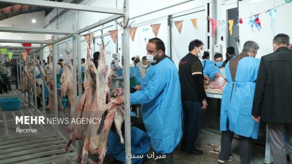 روزانه ۲ تن گوشت گرم گوساله در استان سمنان توزیع می شود