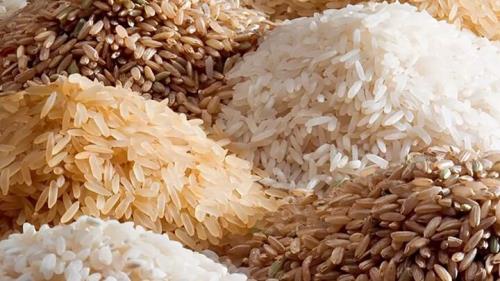 با استمرار واردات برنج در این بازار کمبودی نخواهیم داشت