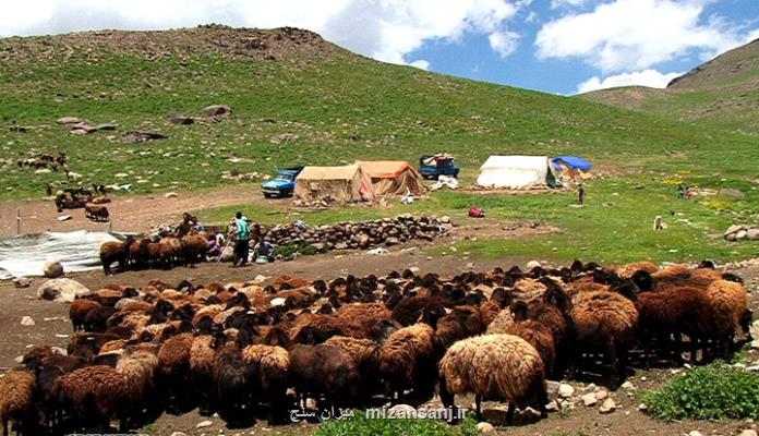 25 درصد گوشت قرمز کشور را عشایر تولید می کنند