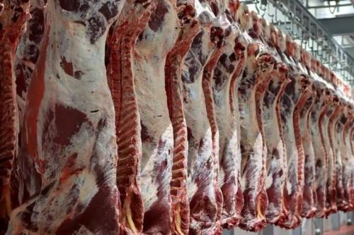 چالش های واردکنندگان گوشت قرمز بررسی گردید
