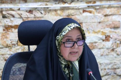 بخشی از قوانین با رویکرد سرمایه گذاری برای تولید نیازمند اصلاح و بازبینی هستند