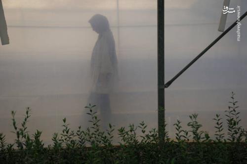 عکس، رزق و روزی در خاک و دریا