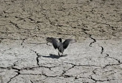 ۱۴۰۴ کم بارندگی ترین سال نیم قرن گذشته