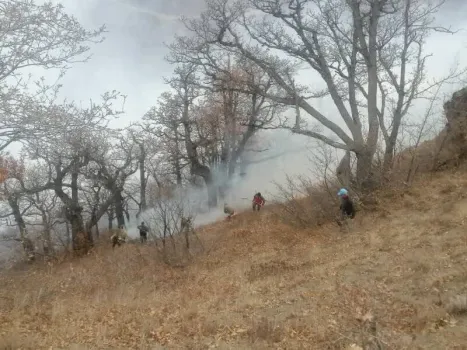 ادامه عملیات مهار آتشسوزی گسترده در جنگل های الیت