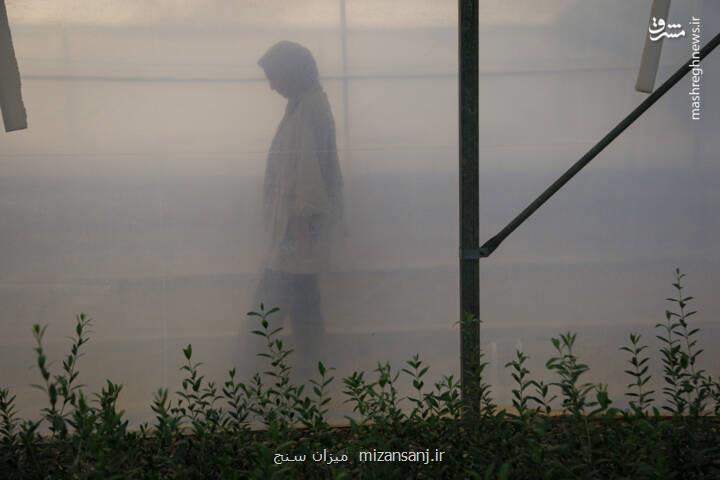 عکس، رزق و روزی در خاک و دریا عکس، رزق و روزی در خاک و دریا