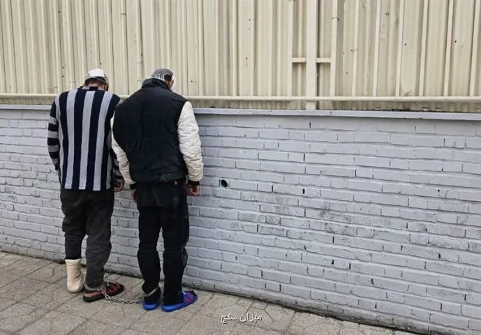 زمین گیر شدن موبایل قاپ های سابقه دار در سعادت آباد