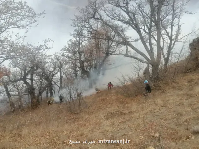 ادامه عملیات مهار آتشسوزی گسترده در جنگل های الیت