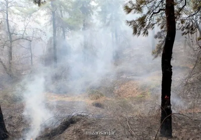 آتش افروز جنگل های هیرکانی دستگیر شد