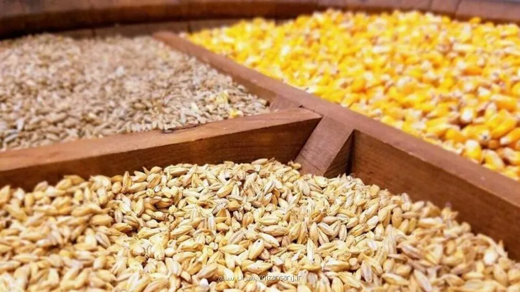 مشکلی در تامین نهاده دامی نداریم