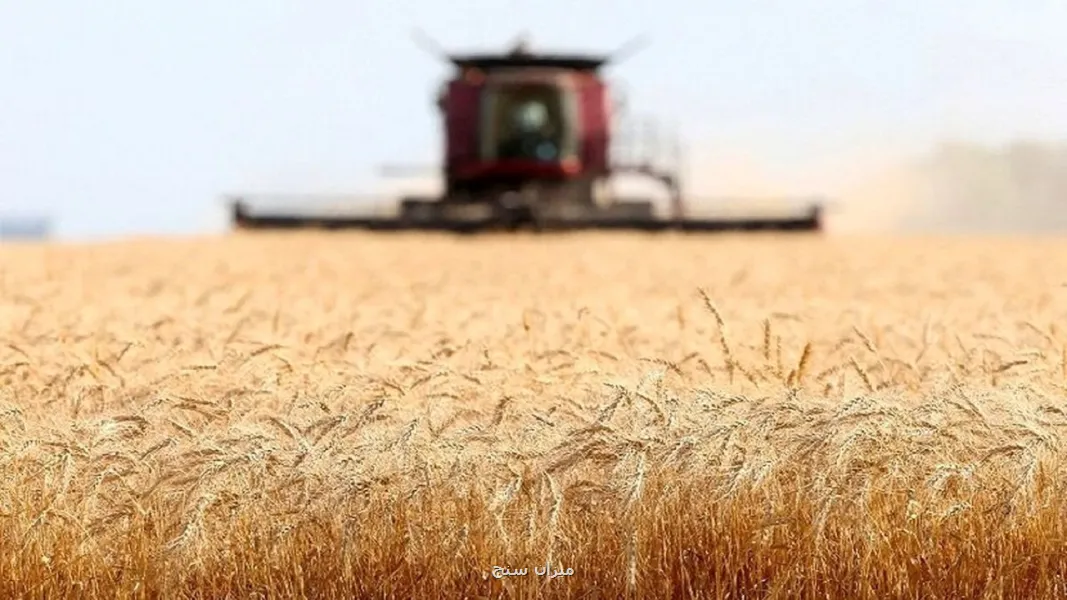 پرداخت ۲۴ درصد مطالبات گندمکاران