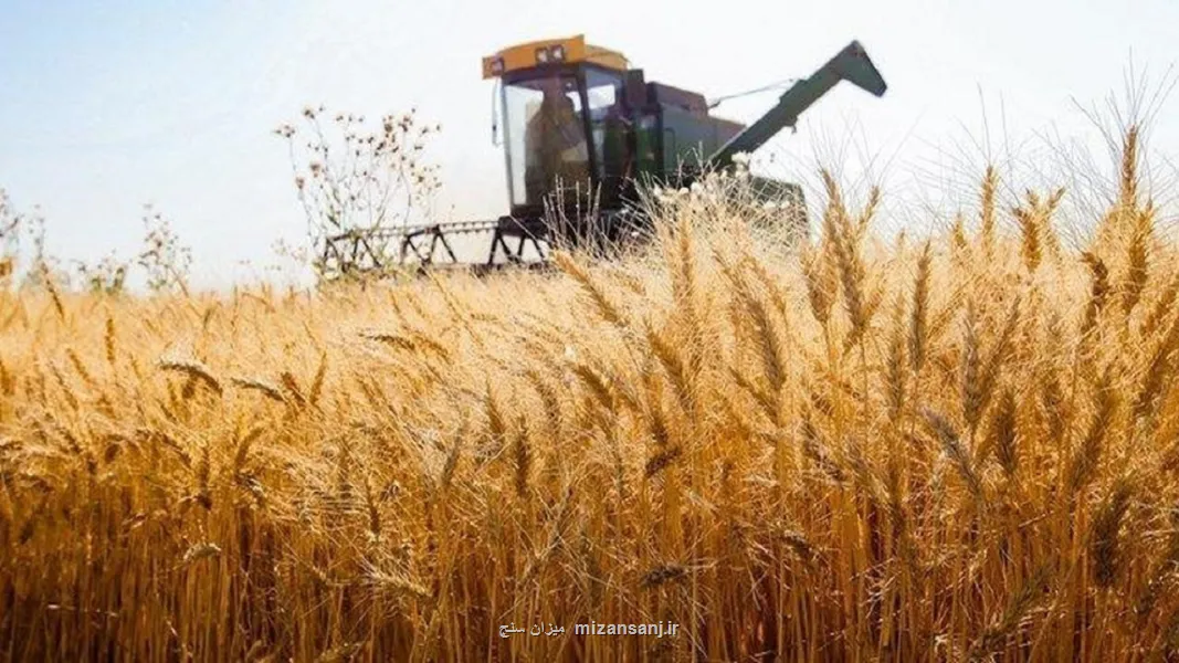 سرنوشت خرید تضمینی گندم به کجا می رسد؟