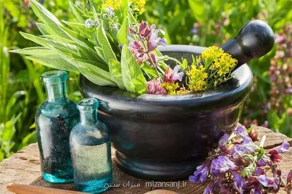 گلایه از فرصت سوزی در صادرات گیاهان دارویی