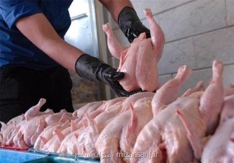 مشكل كامیونداران مرغهاراگرسنه نگه داشت، خوراك به مرغداری هانمی رسد