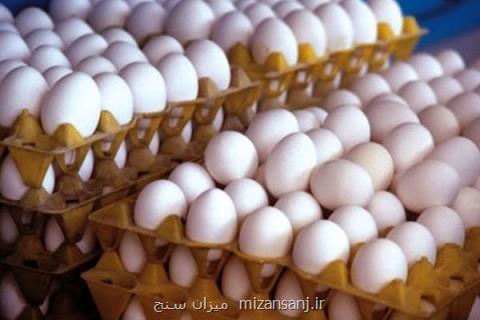 واردات ۳۰ هزار تن مرغ به كشور، ترخیص محموله ۲۰هزار تنی گوشت قرمز