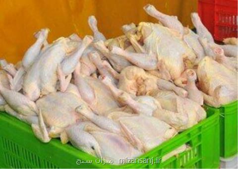 دلیل بی ثباتی قیمت گوشت مرغ چیست؟