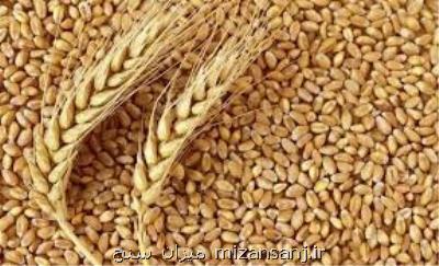 پرداخت بیشتر از ۱۱ هزار میلیارد تومان مطالبات گندمكاران