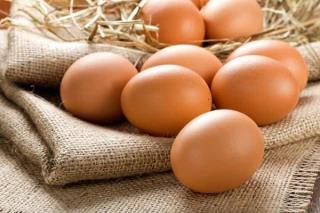 قیمت تخم مرغ روی شیب كاهشی، جمع آوری تخم  مرغ مازاد