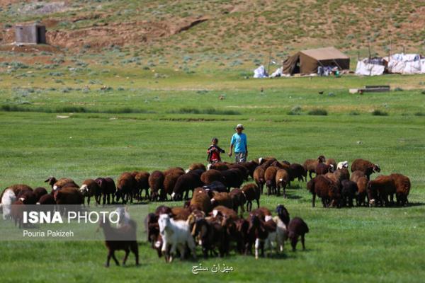 برخورداری 50 هزار خانوار عشایر از انرژی خورشیدی