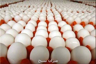 قیمت هر شانه تخم مرغ ۲۰ هزارتومان تعیین شد