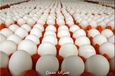 قیمت هر شانه تخم مرغ ۲۰ هزارتومان تعیین شد