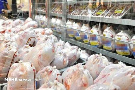 دعوای دولتی ها سبب گرانی مرغ شد