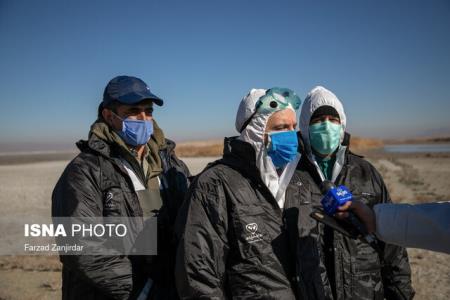 مهار و مدیریت كامل آنفلوانزای فوق حاد پرندگان در كشور