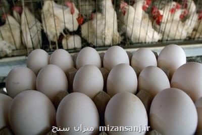 عرضه تخم مرغ بالاتر از شانه ای 34 هزار تومان گرانفروشی است