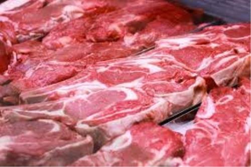 40 تن از گوشت های مغولی تحویل گردید تا پودر شود!