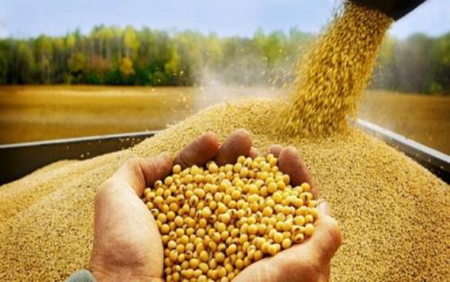 گام مهم وزارت جهاد برای كاهش تخلفات در توزیع نهاده های دامی